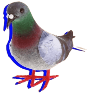 Meowlau x Val Nevermind pigeon logo